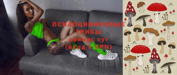 спиды Лабытнанги