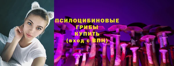 соль ск Лагань