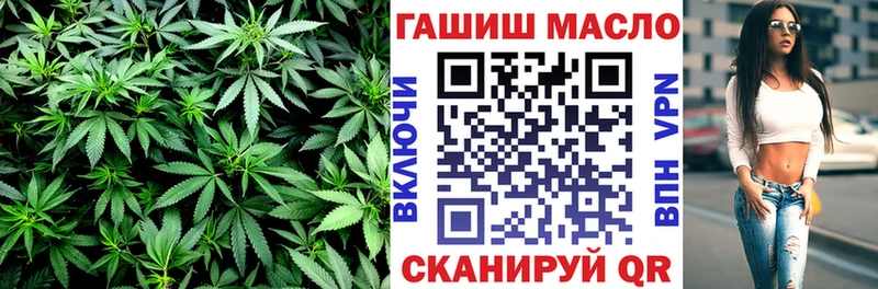 Купить где  Сланцы  ТГК концентрат 