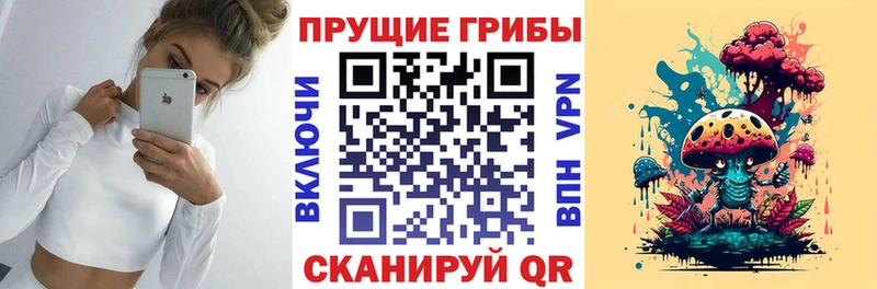 Купить где  Сланцы  Псилоцибиновые грибы ЛСД 